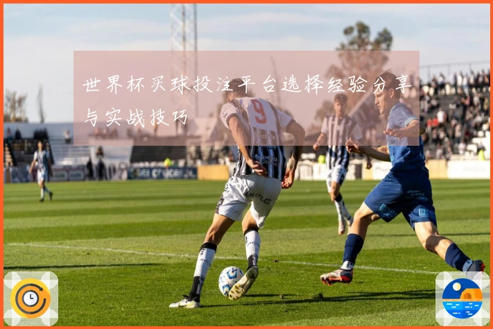 世界杯买球投注平台选择经验分享与实战技巧