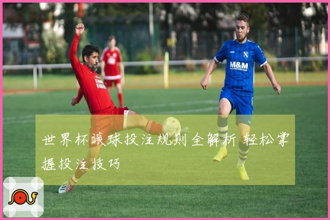 世界杯滚球投注规则全解析 轻松掌握投注技巧