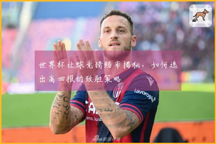 世界杯让球竞猜赔率揭秘，如何选出高回报的致胜策略