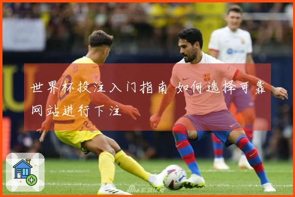 世界杯投注入门指南 如何选择可靠网站进行下注