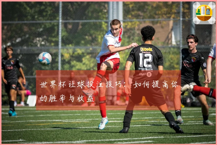 世界杯让球投注技巧：如何提高你的胜率与收益