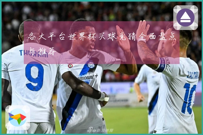 各大平台世界杯买球竞猜全面盘点与推荐