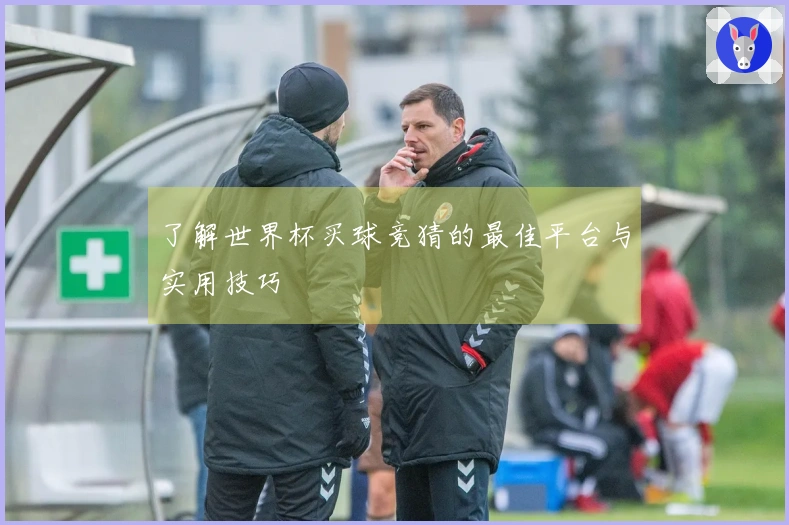 了解世界杯买球竞猜的最佳平台与实用技巧