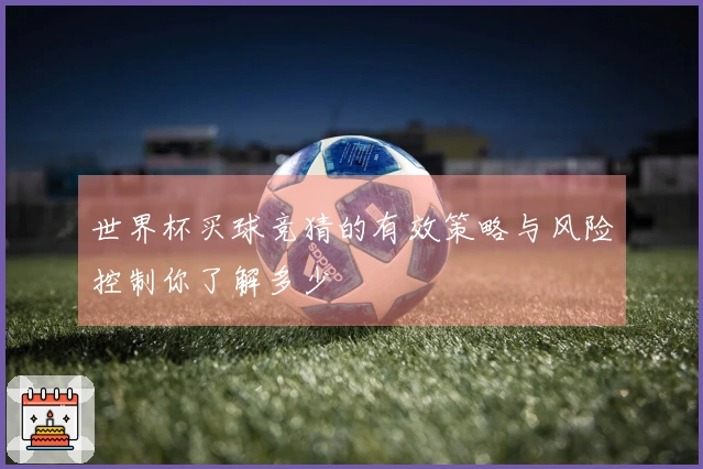 世界杯买球竞猜的有效策略与风险控制你了解多少