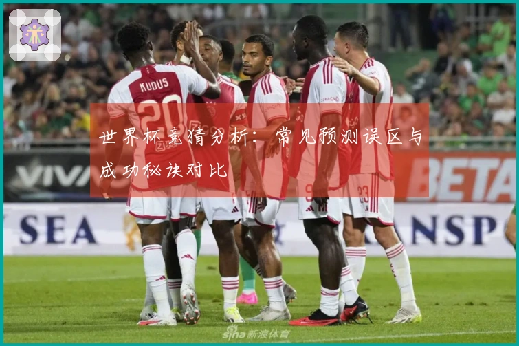 世界杯竞猜分析：常见预测误区与成功秘诀对比