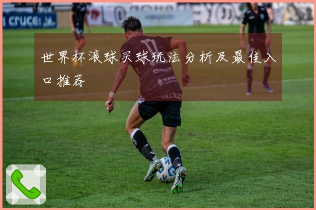 世界杯滚球买球玩法分析及最佳入口推荐